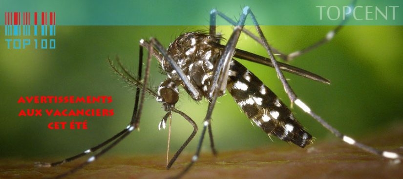 Les moustiques tigre asiatique envahit l&rsquo;UE