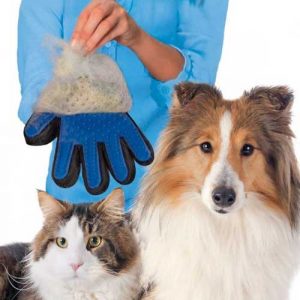 Gant de Toilettage pour Chien ou Chat