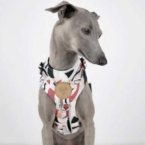 Harnais Chien Anti Traction en Tissu SoftShell et Cuir Végétalien - M