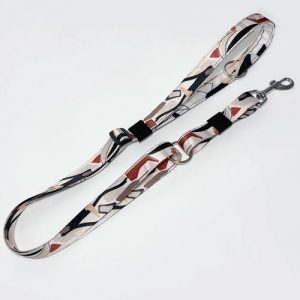 une laisse pour chien