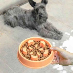 gamelle anti-glouton chien