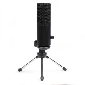 Micro Enregistrement Voix