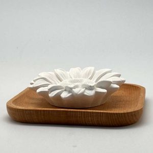 diffuseur huile essentielle à froid