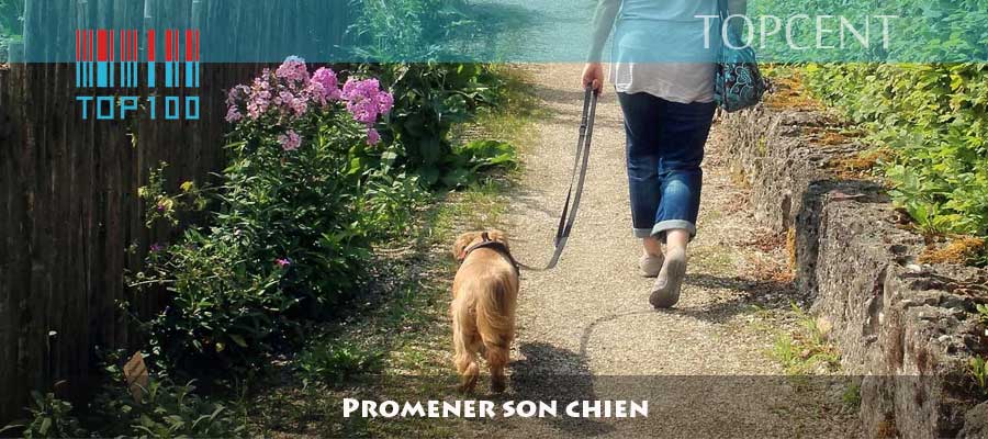 promener son chien