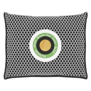 Déshumidificateur Voiture