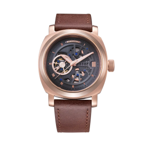 Montre de luxe homme automatique